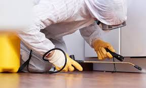 Best Commercial Pest Control  in Clinton, NY